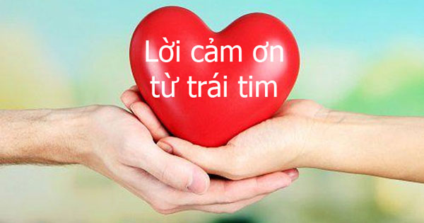 VĂN HÓA BIẾT ƠN